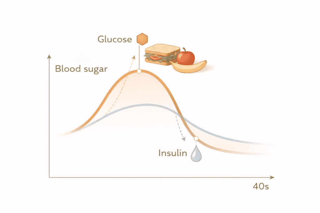 Blood sugar and insulin response diagram explaining why belly fat is harder to lose after 30