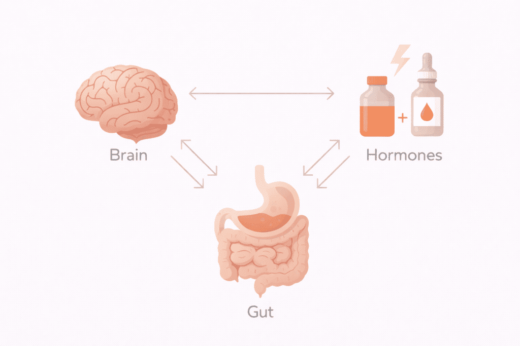Diagram showing the connection between gut, brain, and hormones and how gut health affects metabolism