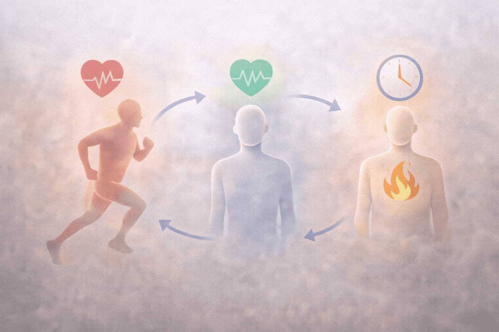 Illustration showing how HIIT boosts metabolism and burns belly fat