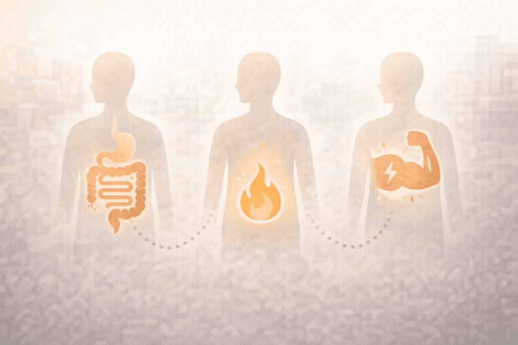 Diagram showing how superfoods support digestion and metabolism